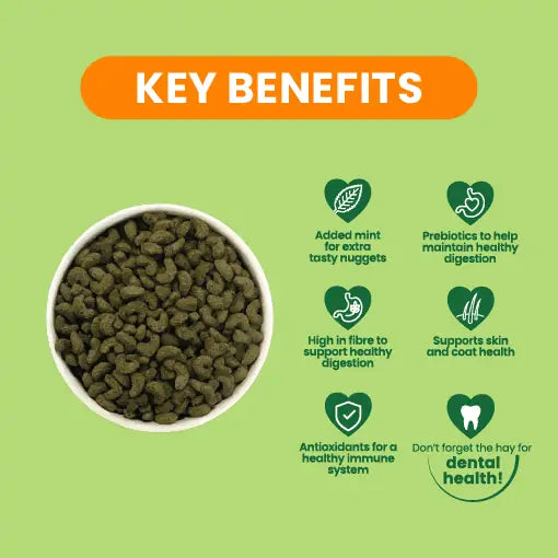 Burgess guinea pig pellets best sale