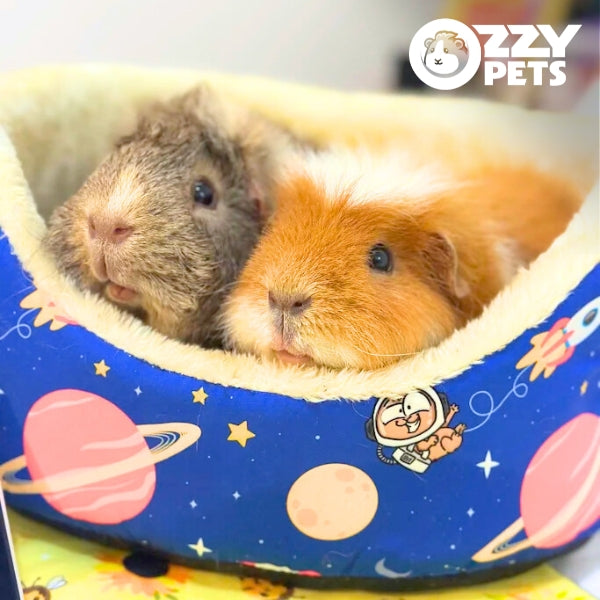 Cuddle Cup - Ozzy Pets
