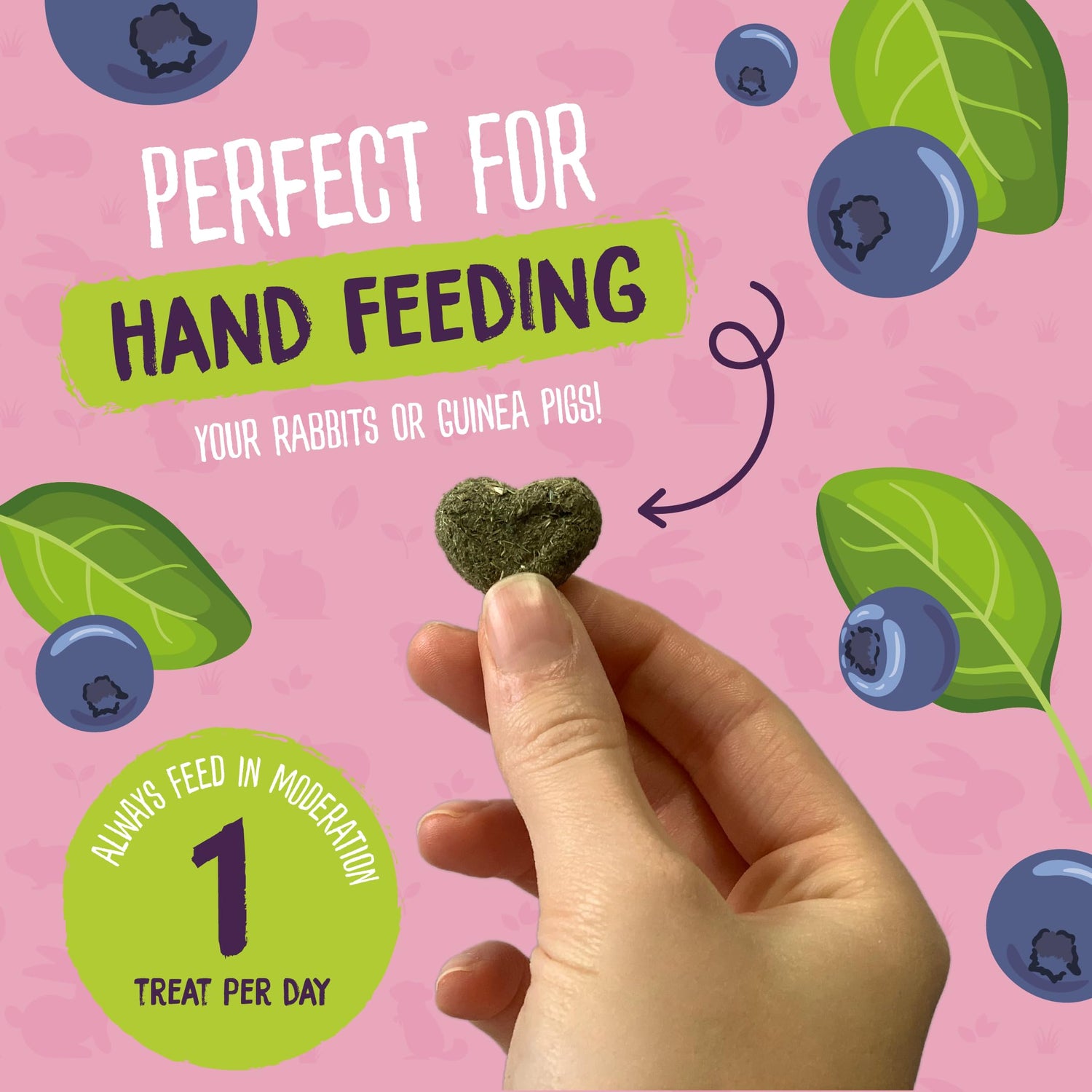 Burgess Excel Sunshine Snacks with Blueberry and Spinach