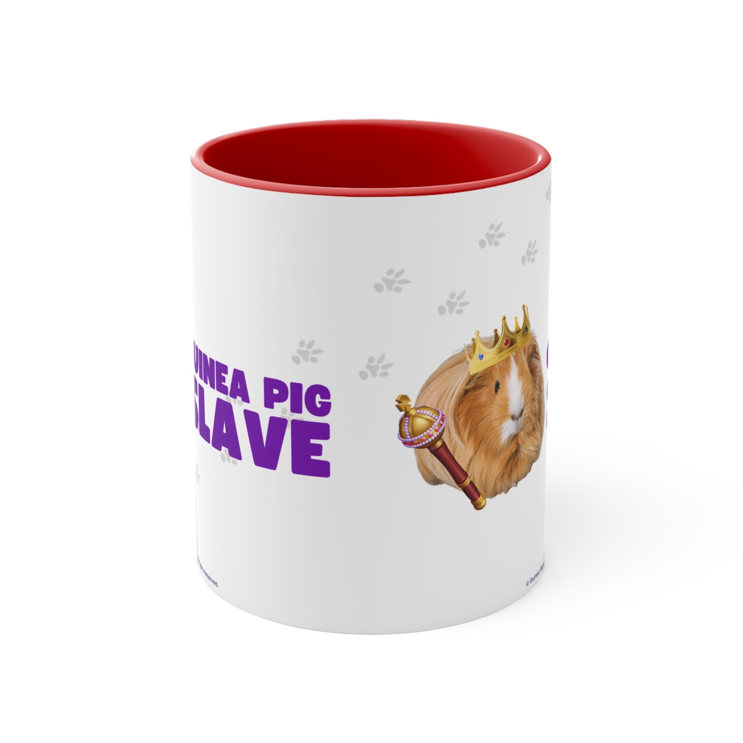 Mug - Guinea Pig Slave