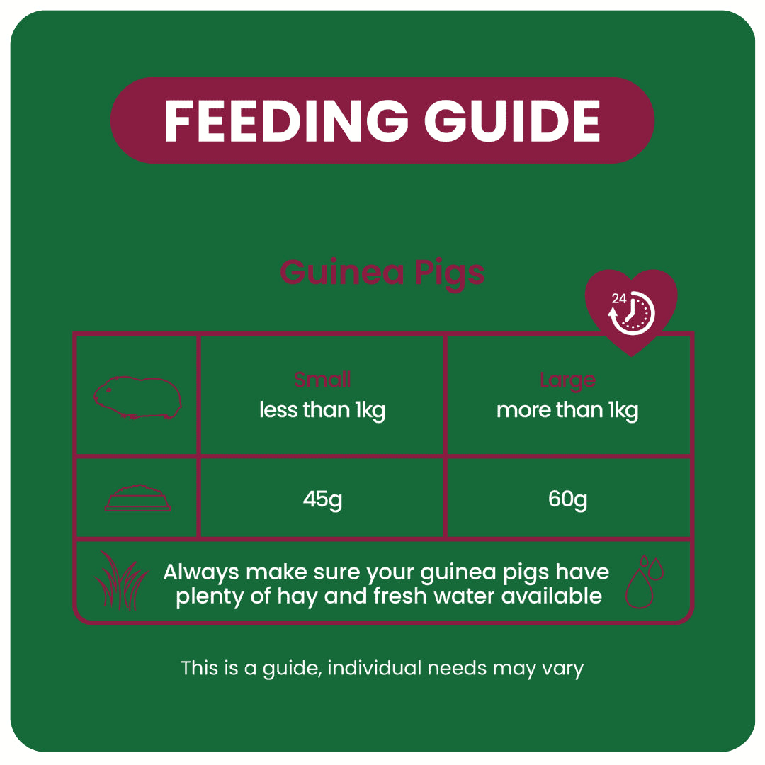 Burgess Excel Indoor Guinea Pig Pellets - 1.5kg