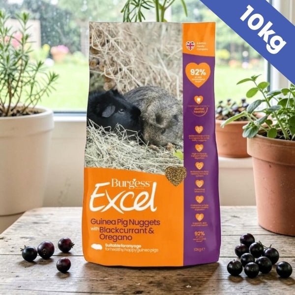 Burgess Excel Guinea Pig Pellets with Blackcurrant and Oregano 10kg