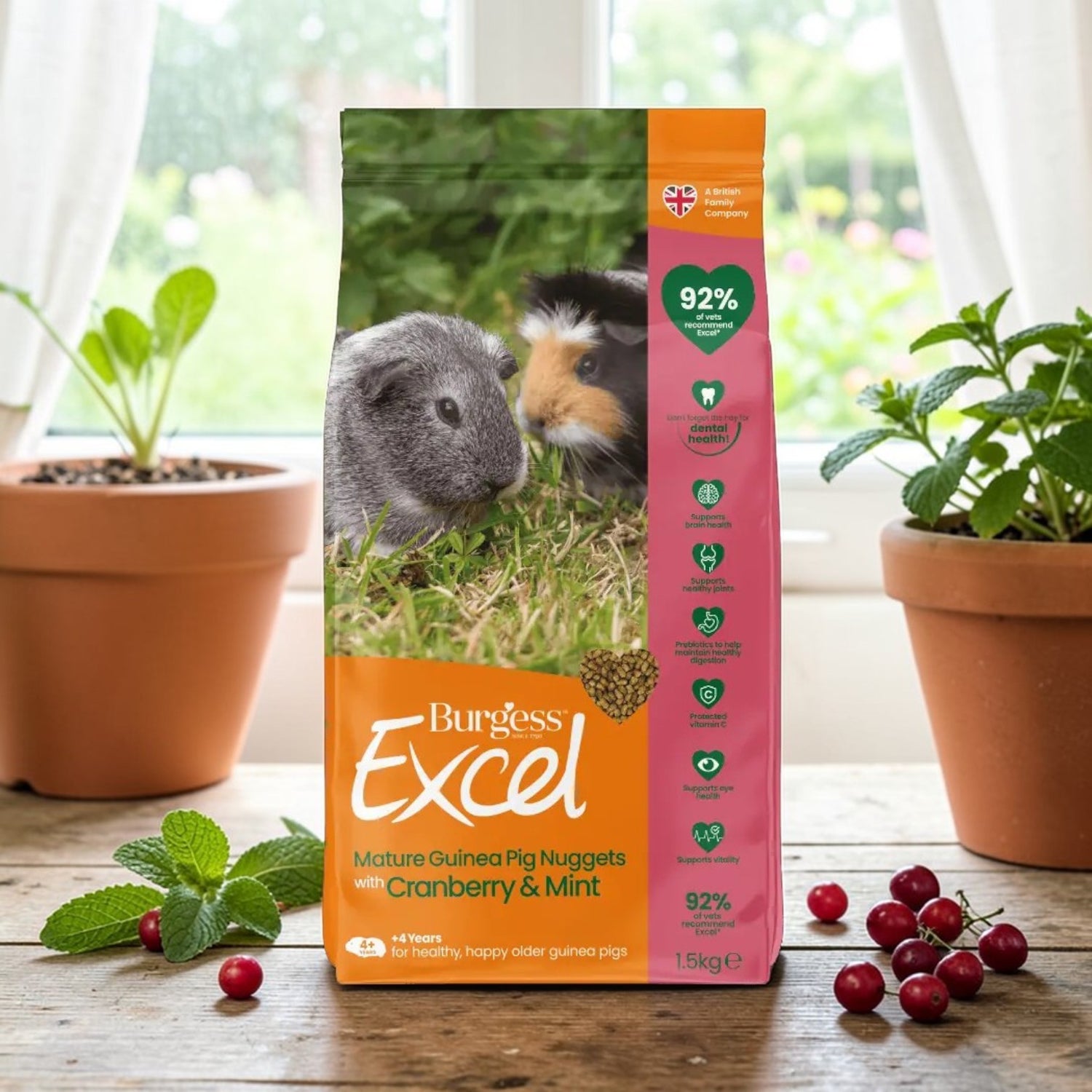 Burgess Excel Mature Guinea Pig Nuggets 1.5kg