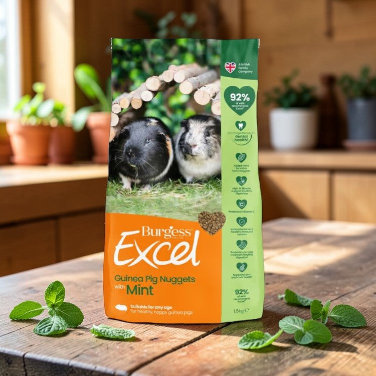 Burgess Excel Guinea Pig Pellets with Mint