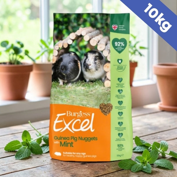 Burgess Excel Guinea Pig Pellets with Mint 10kg