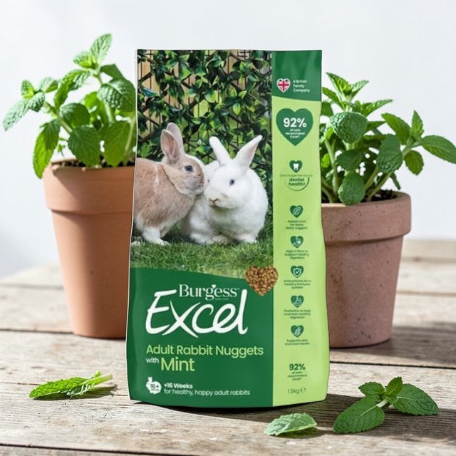 Burgess Excel Adult Rabbit Nuggets with Mint 1.5kg – Guinea Pigs Australia