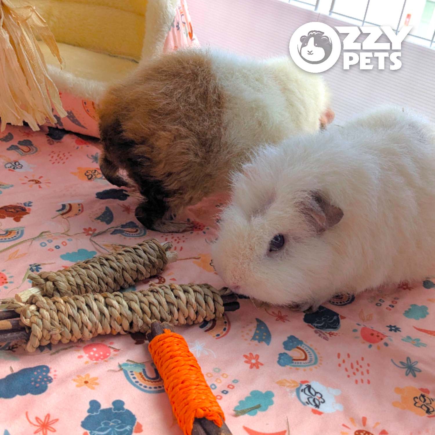 Ozzy Pets Bamboo Twister