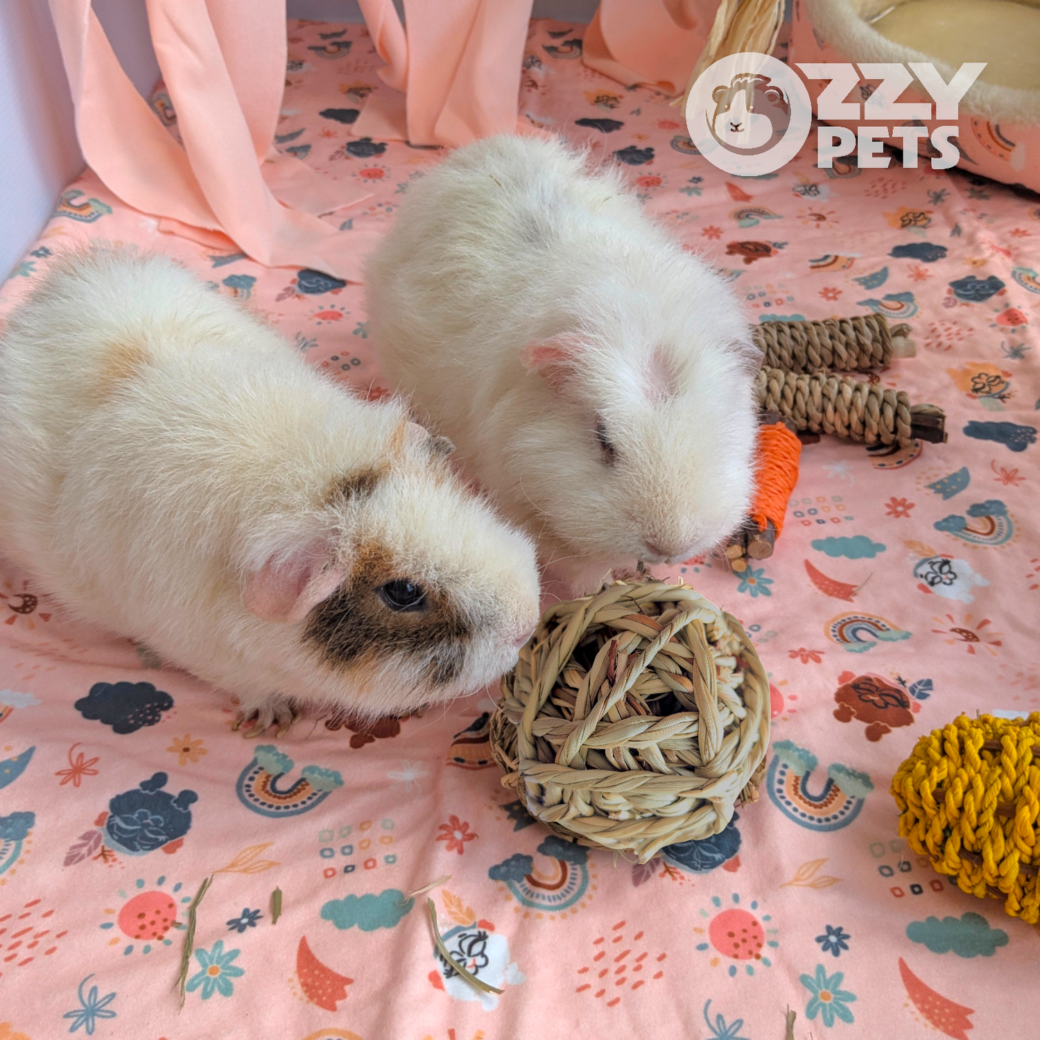 Ozzy Pets Braided Chew Ball