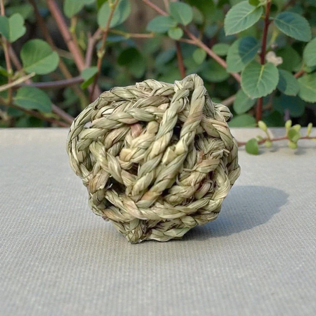 Ozzy Pets Braided Chew Ball