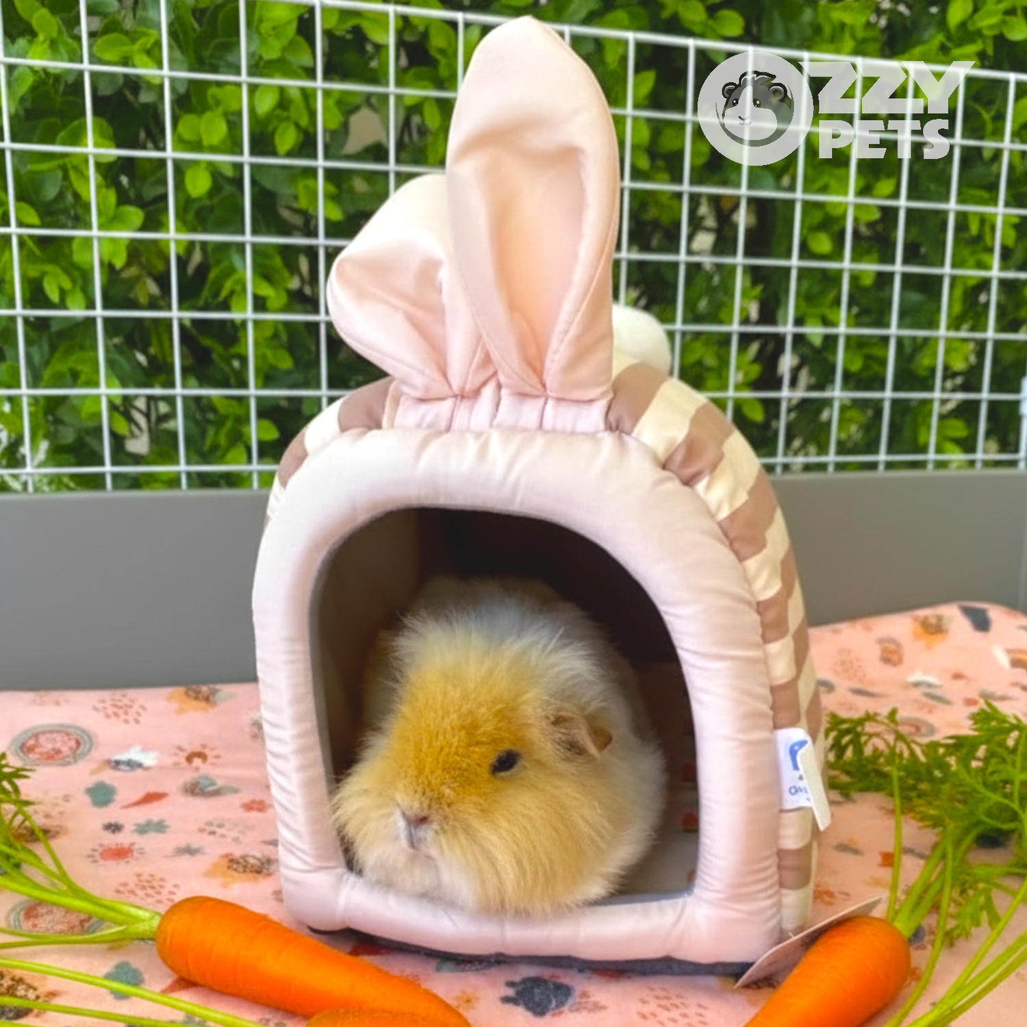 The Bunny Burrow - Ozzy Pets