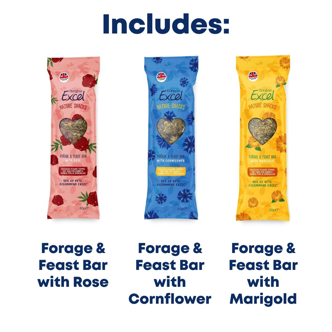 Burgess Excel Forage & Feast Bundle