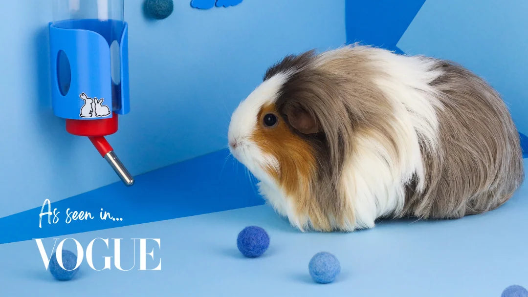 Buttercup Pet Banner