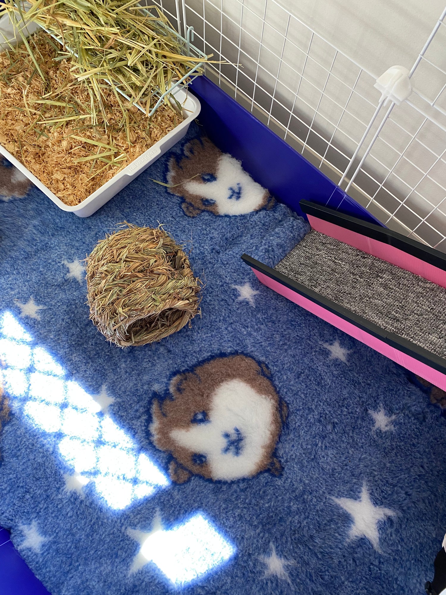 Ozzy Vet-Bed Liner | Purple with Black and White Paws