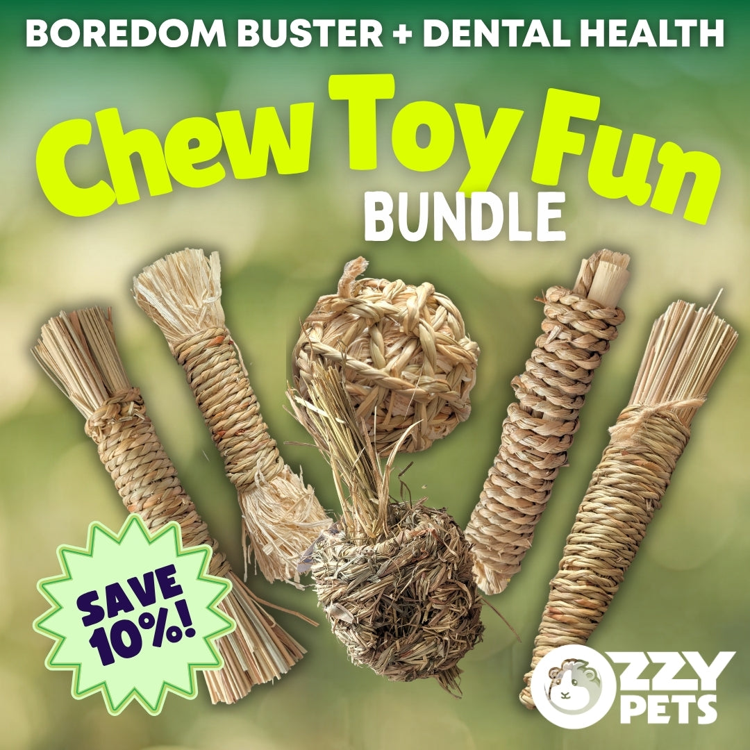 Chew Toy Fun Bundle - Edible Toy Value Pack for Guinea Pigs and Rabbits - Ozzy Pets