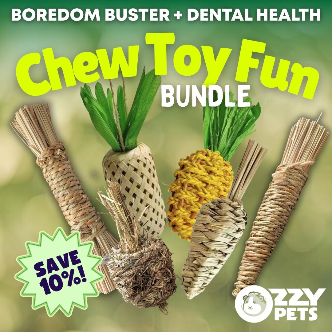 Ozzy Pets Chew Toy Fun Bundle - Edible Toy Value Pack for Guinea Pigs and Rabbits