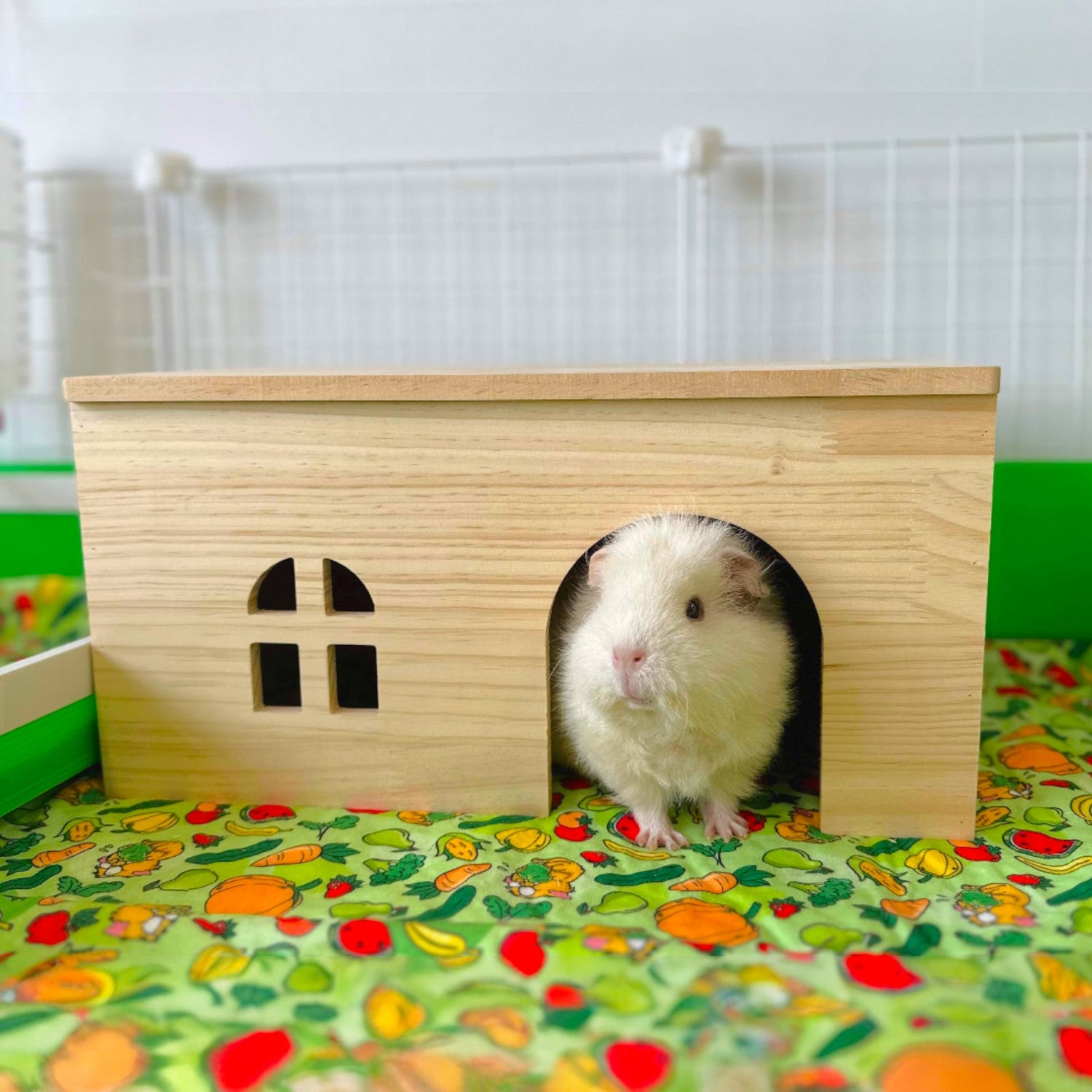 Cavy Condo - Ozzy Pets