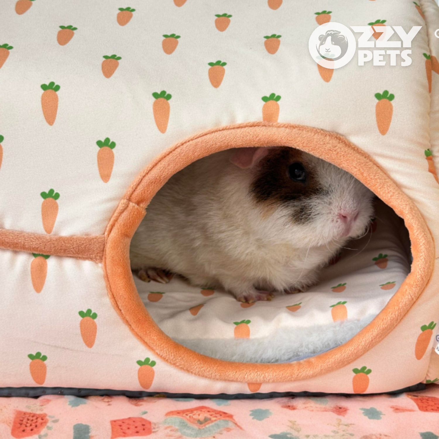 Cosy Caravan - Ozzy Pets