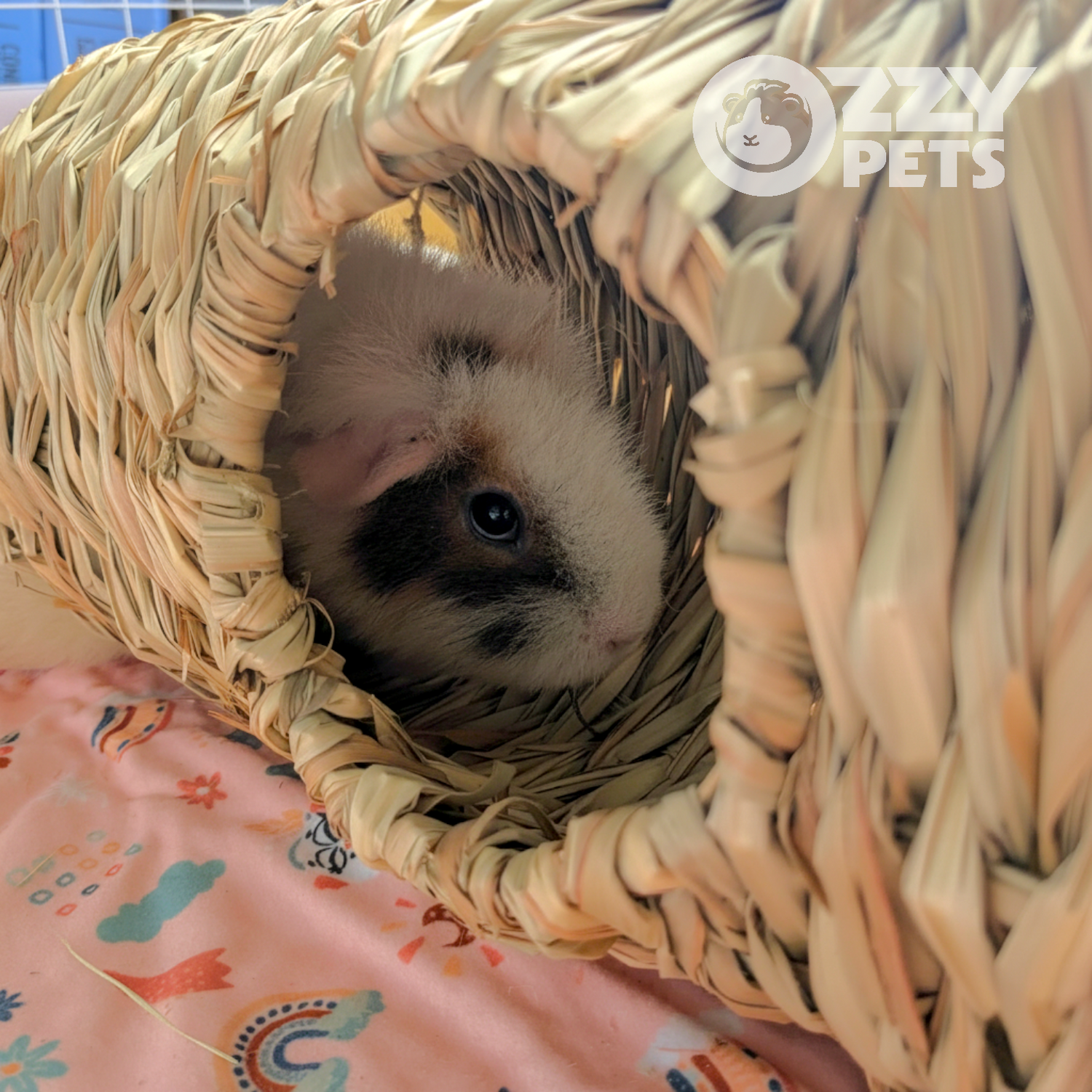 Ozzy Pets Chewy Tube