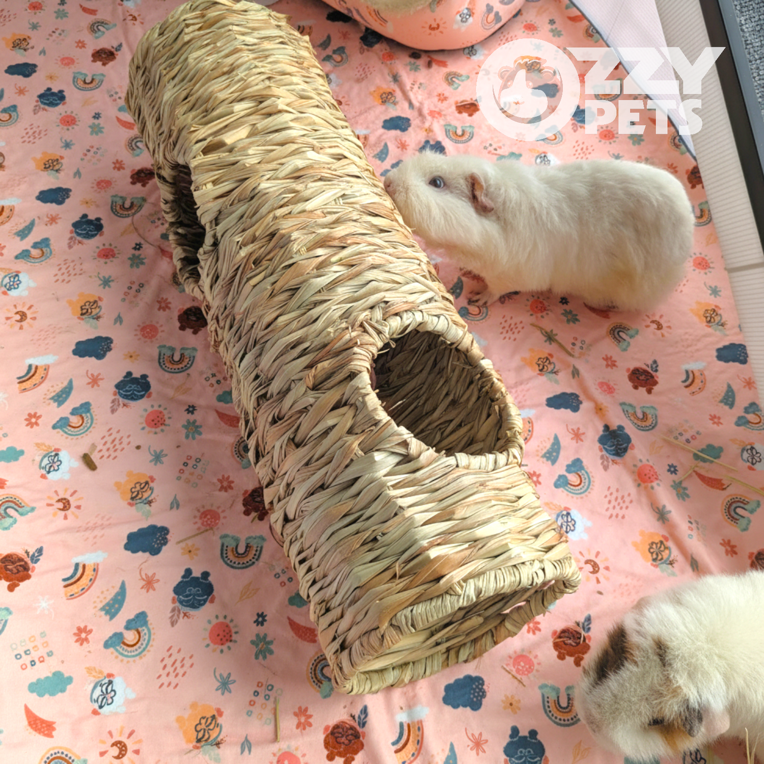 Ozzy Pets Chewy Tube