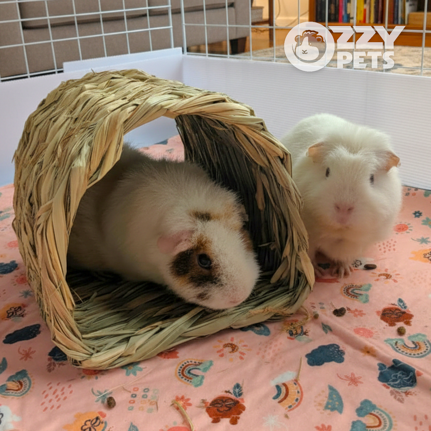 Ozzy Pets Chew Chew Tunnel