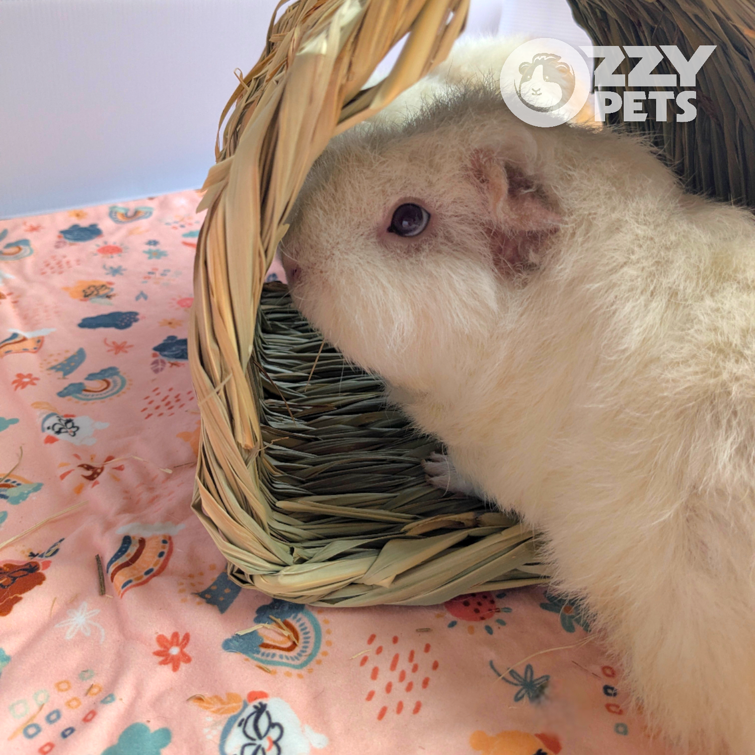 Ozzy Pets Chew Chew Tunnel