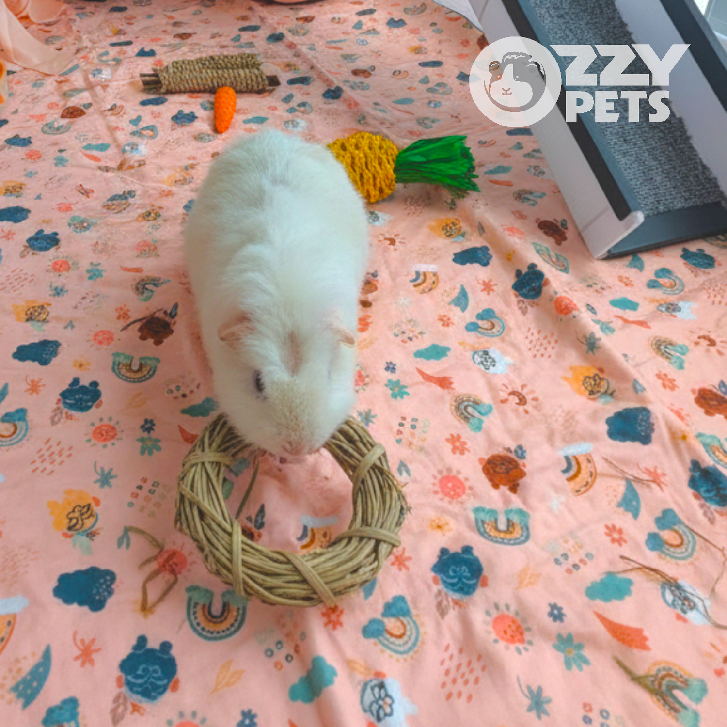 Ozzy Pets Grass Chewy-O