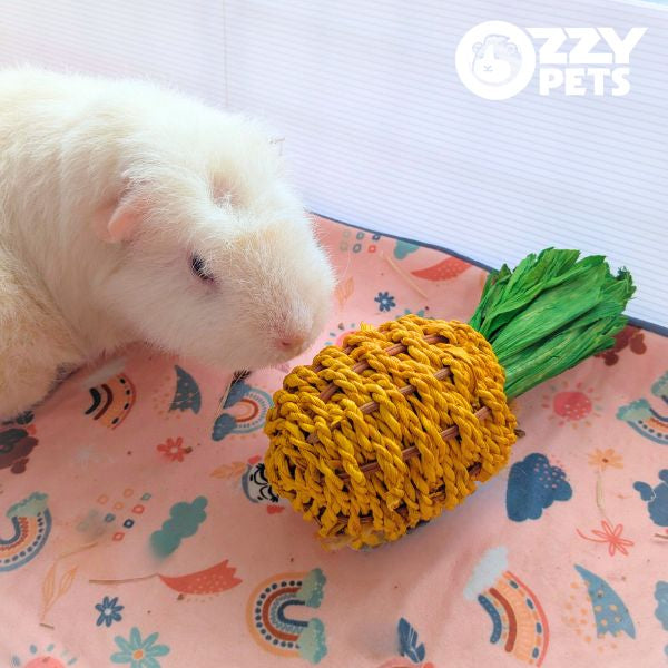 Ozzy Pets Chompy Pineapple