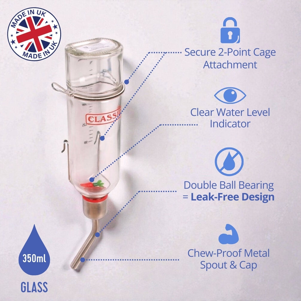 Classic Glass Drinking Bottle 350ml (Small)