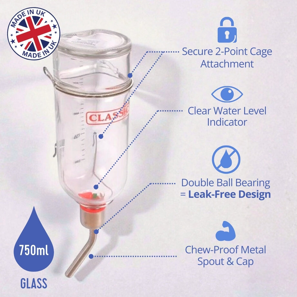 Classic Glass Drinking Bottle 750ml (Large)