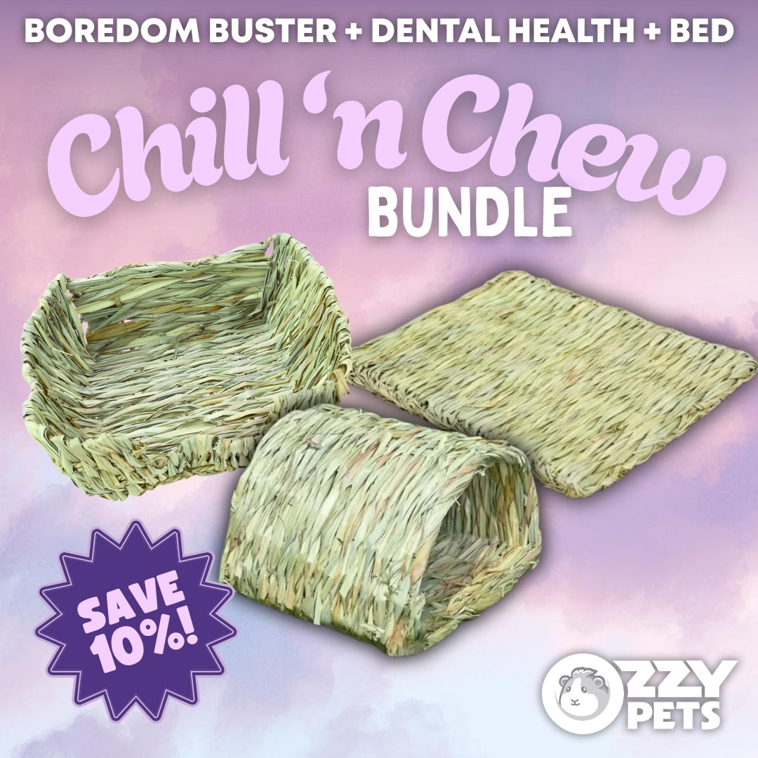 Chill 'n Chew Bundle - Enrichment Value Pack for Guinea Pigs and Rabbits - Ozzy Pets