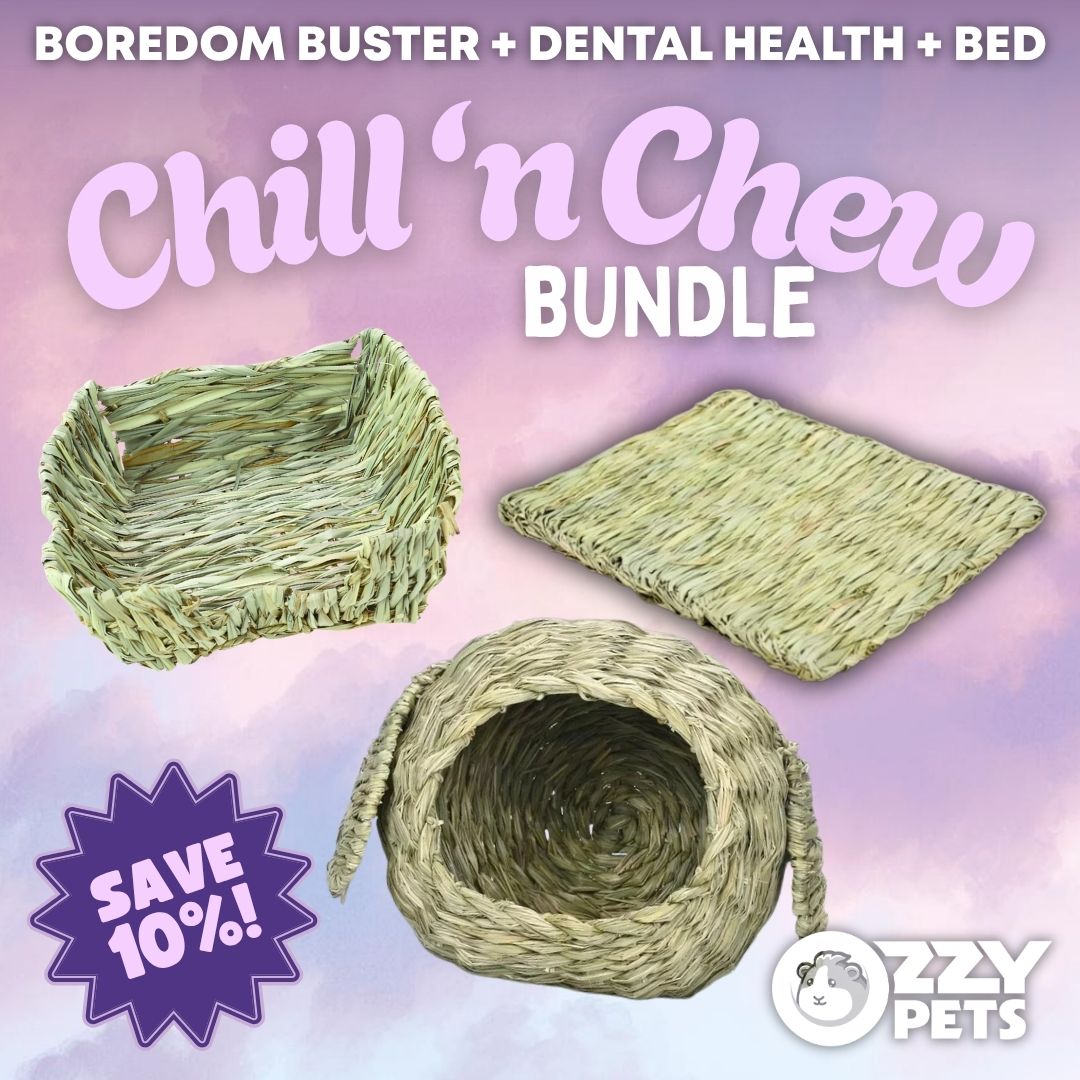 Ozzy Pets Chill 'n Chew Bundle – Natural Chew Toy & Enrichment Value Pack for Guinea Pigs & Rabbits