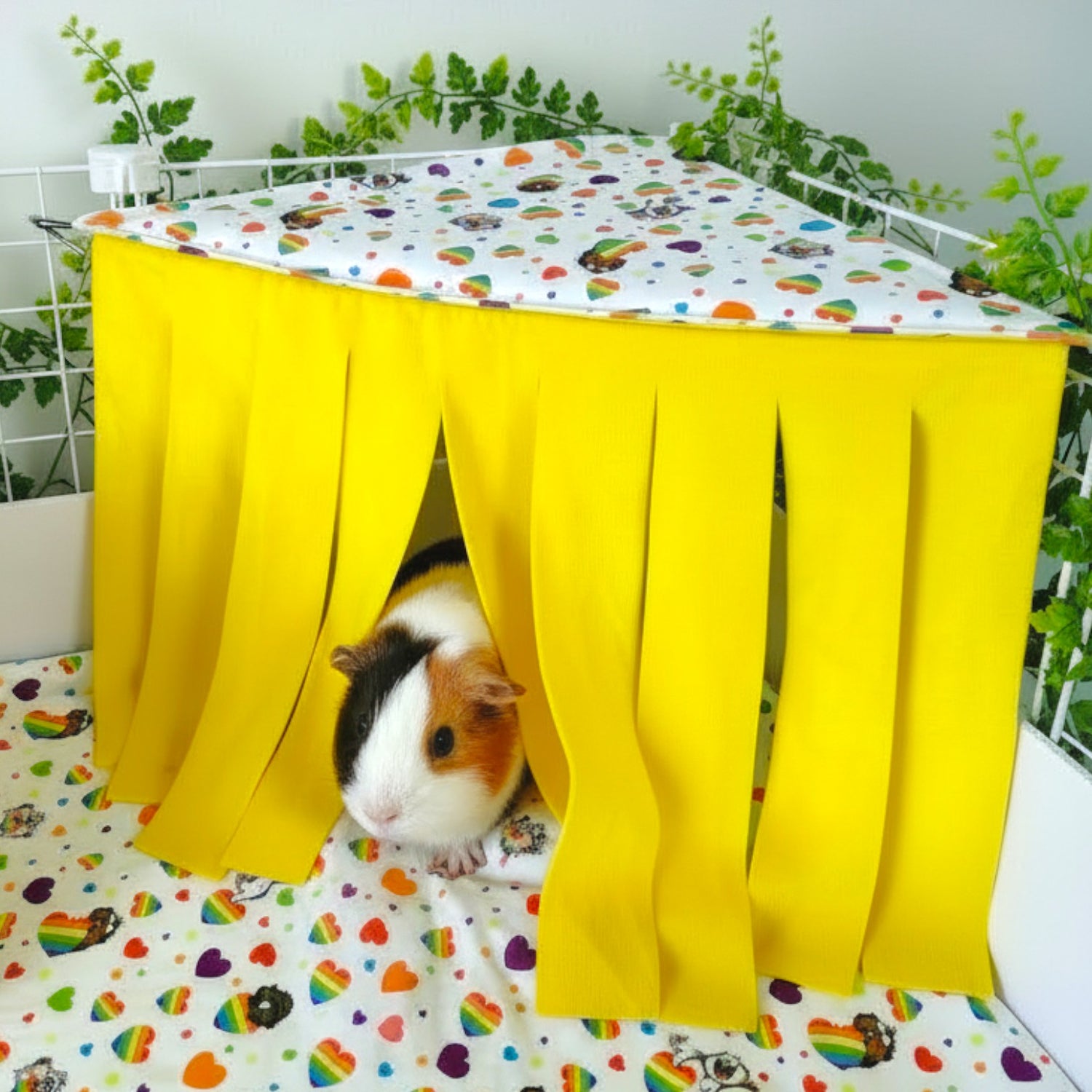 Corner Curtain - Ozzy Pets