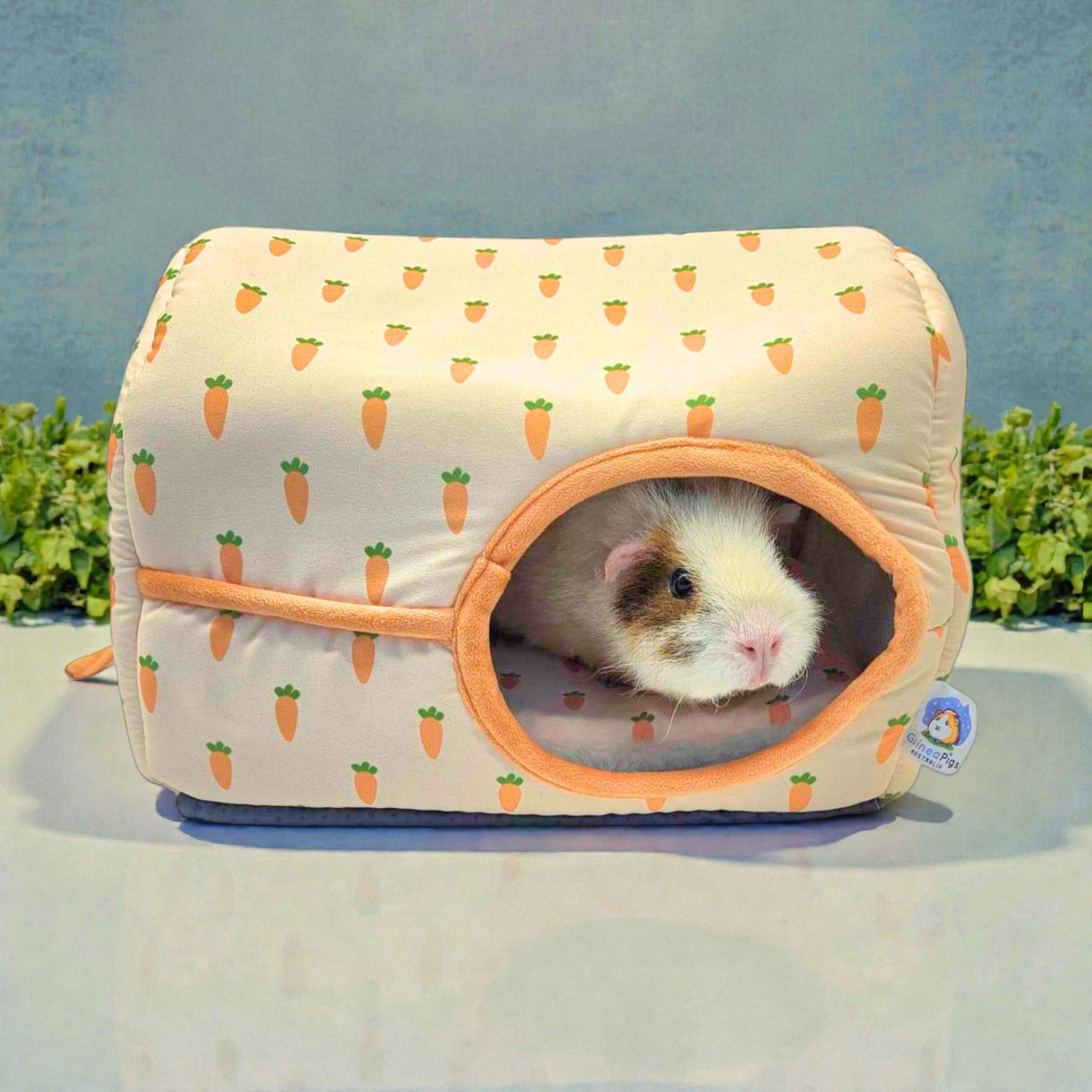 Cosy Caravan - Ozzy Pets