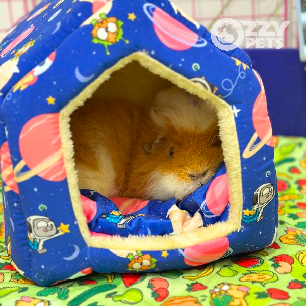 Cosy Cottage - Ozzy Pets