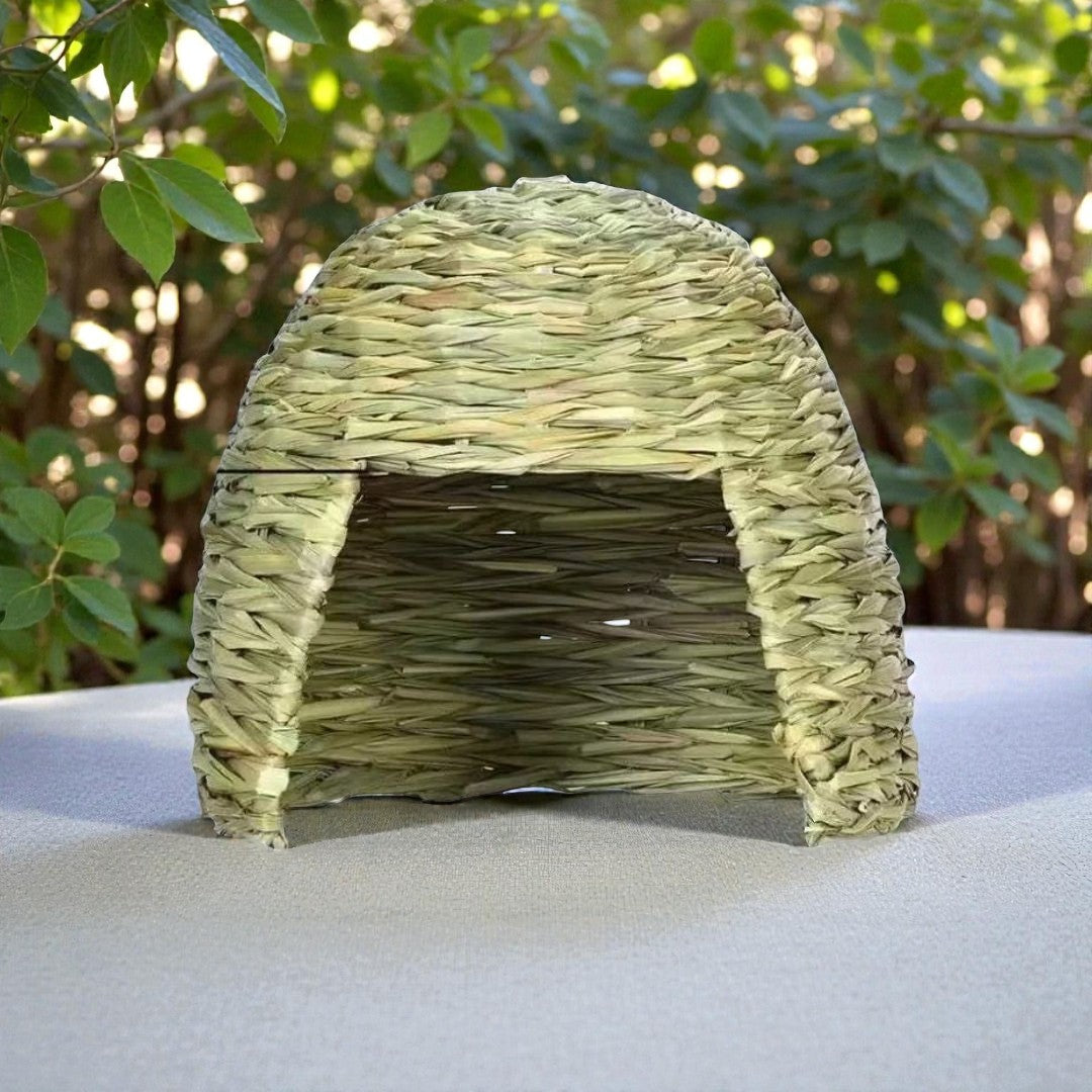 Ozzy Pets House of Grass