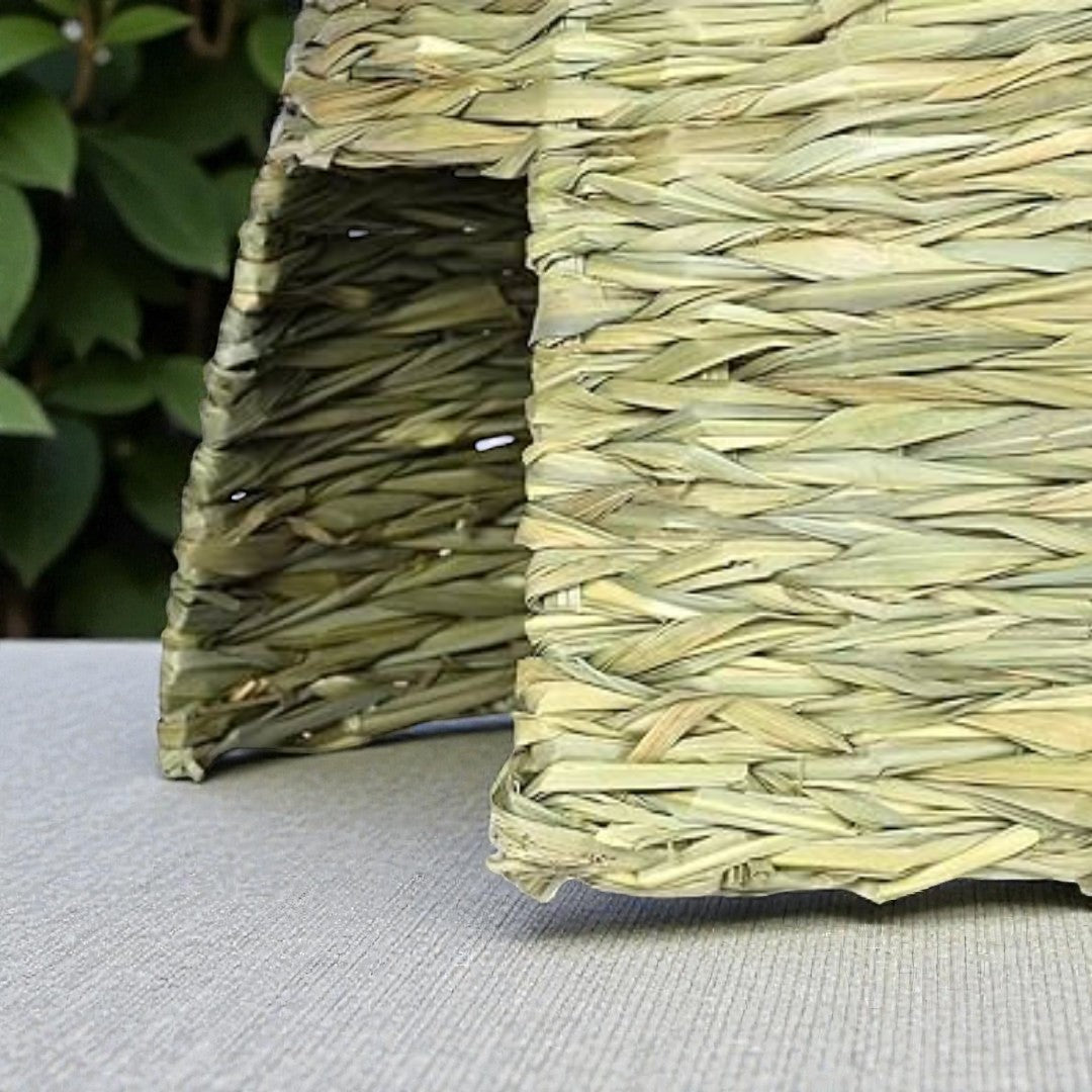 Ozzy Pets House of Grass