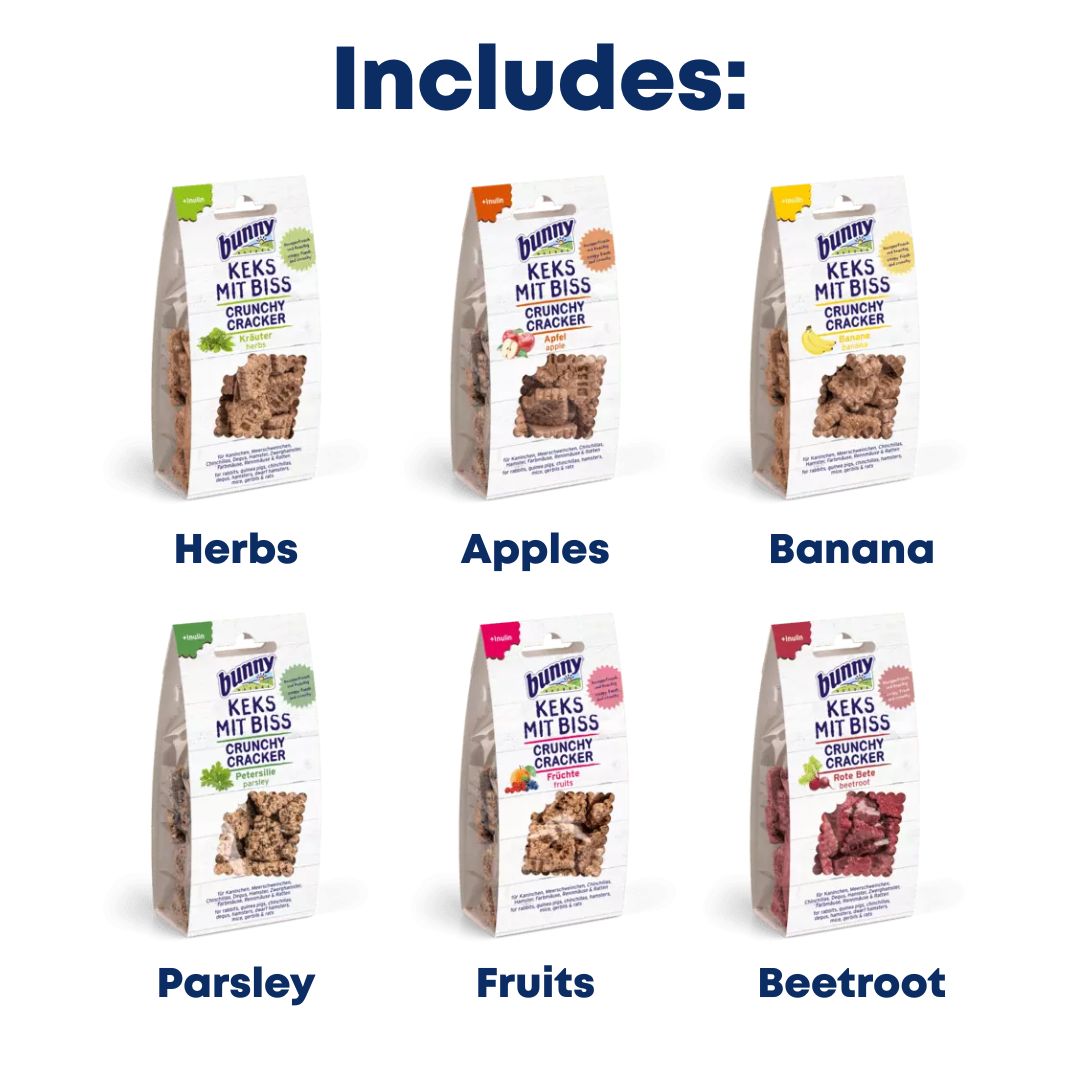 Bunny Nature Crunchy Crackers Mega Bundle – Guinea Pigs Australia