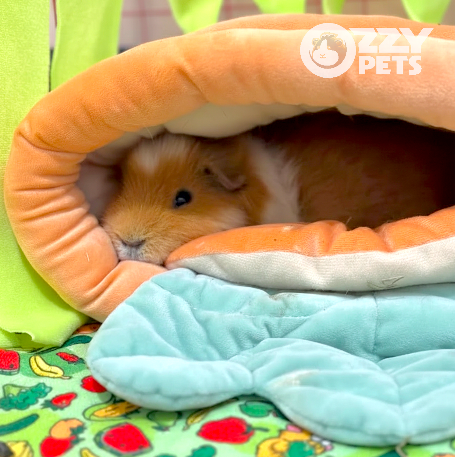 Cuddly Carrot Bed - Ozzy Pets