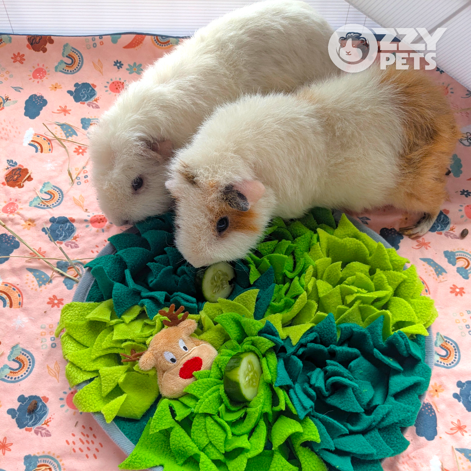 Ozzy Pets Festive Foraging Mat