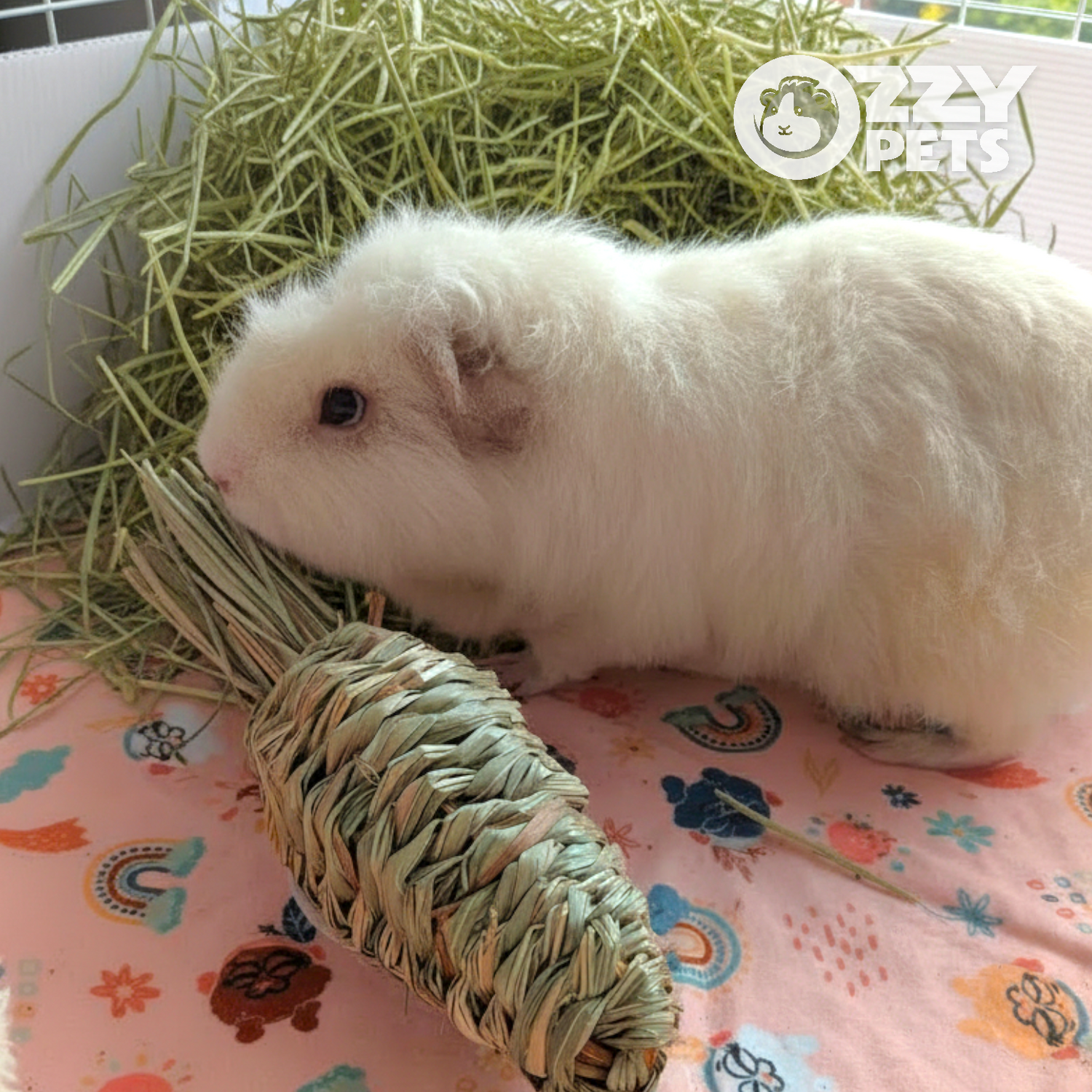 Ozzy Pets Grass Carrot Chew