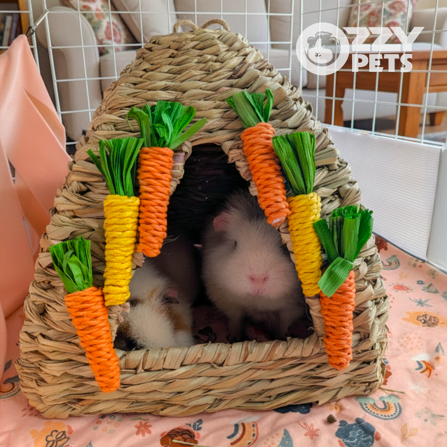 Ozzy Pets Grass Carrot Hut