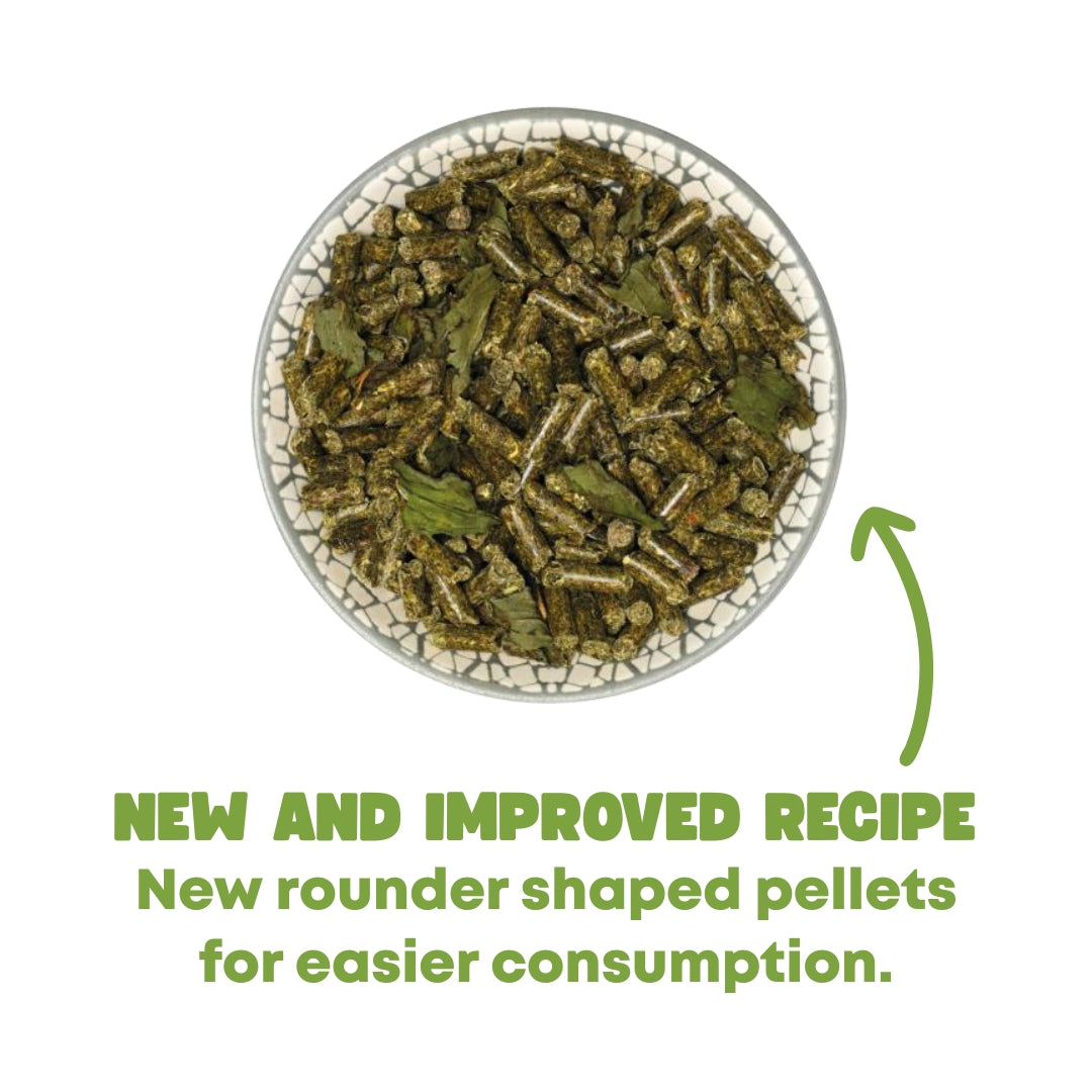 Bunny Nature  - Guinea Pig Dream Basic 1.5kg