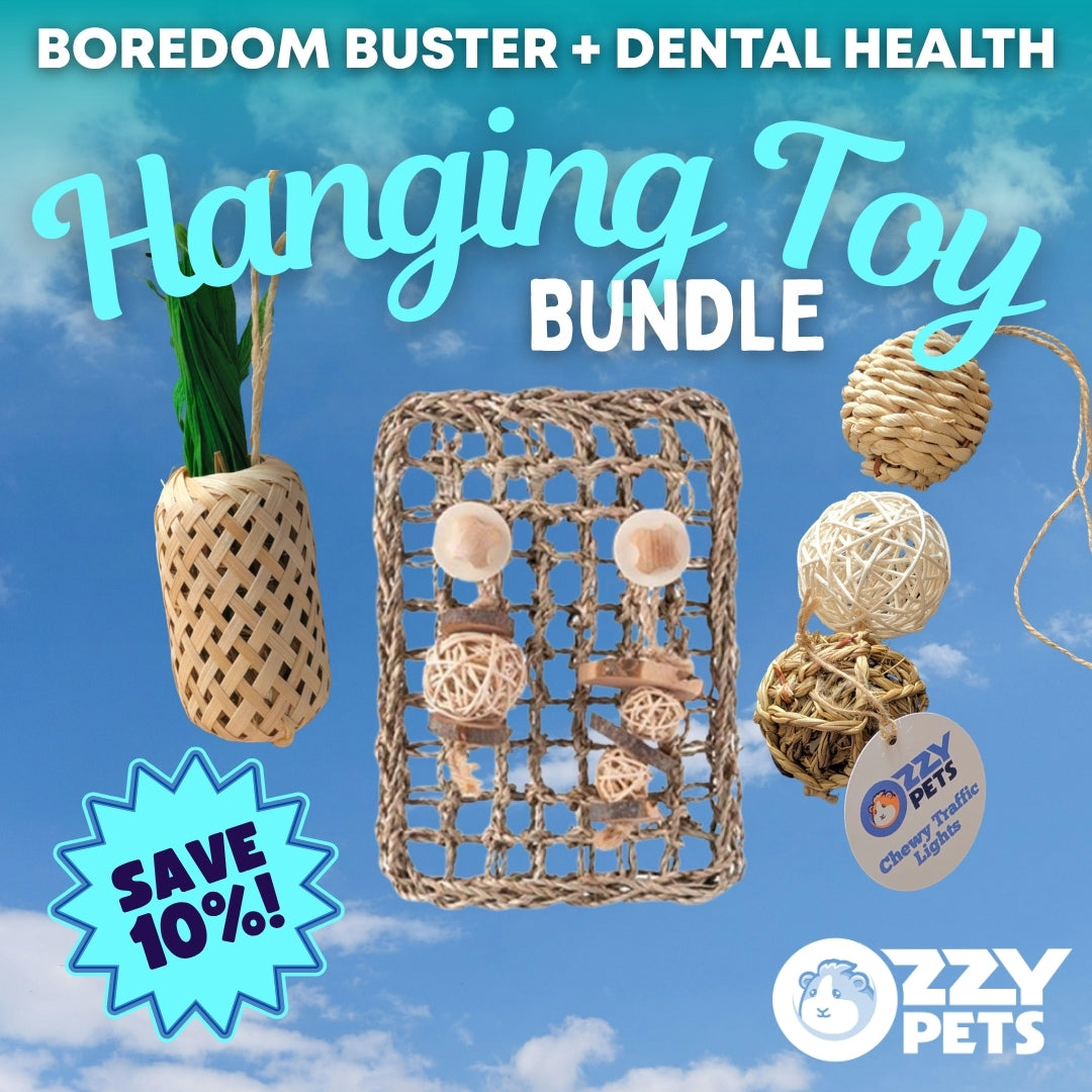 Hanging Toy Bundle - Edible Toy Value Pack for Guinea Pigs and Rabbits - Ozzy Pets