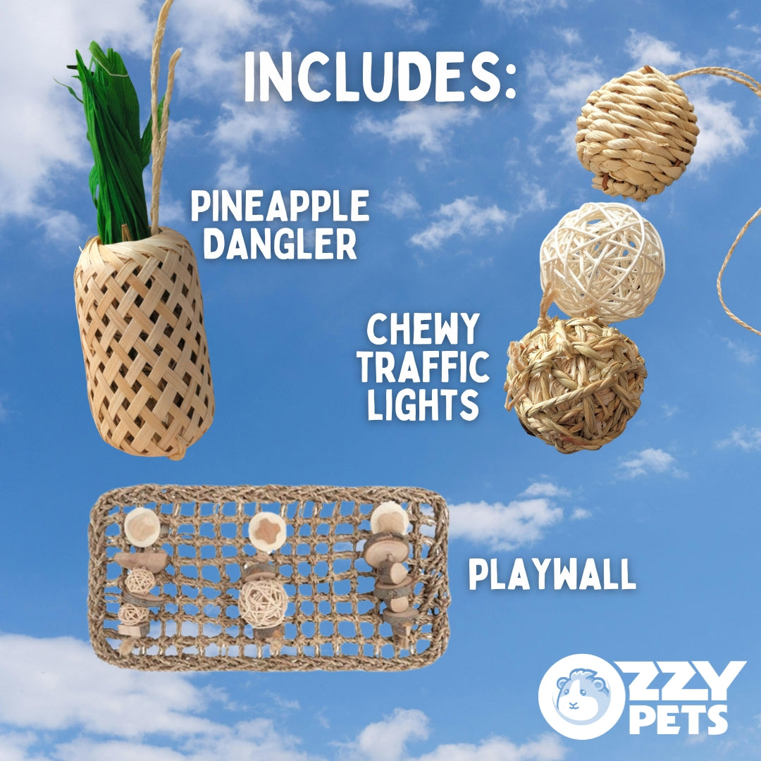 Hanging Toy Bundle - Edible Toy Value Pack for Guinea Pigs and Rabbits - Ozzy Pets