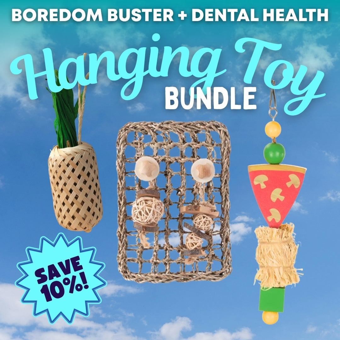 Hanging Toy Bundle - Edible Toy Value Pack for Guinea Pigs and Rabbits