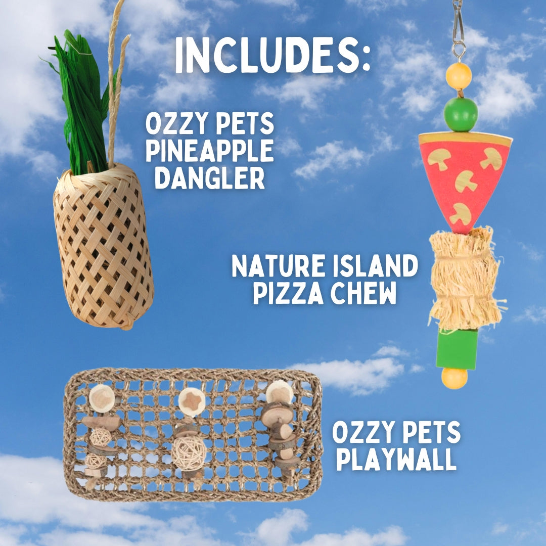 Hanging Toy Bundle - Edible Toy Value Pack for Guinea Pigs and Rabbits