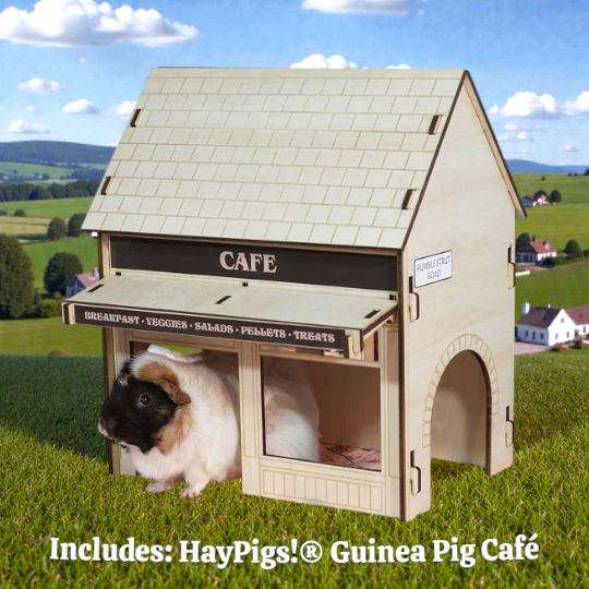 HayPigs!® Village Bundle - Guinea Pig Café + Nibbles Nail Bar
