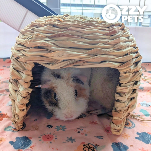 Ozzy Pets House of Grass