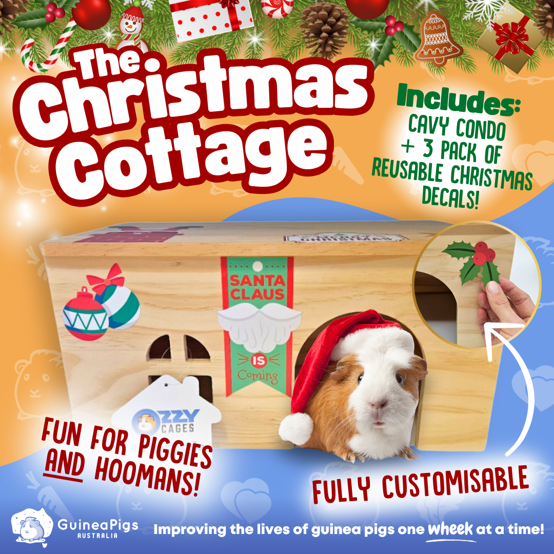 The Christmas Cottage Bundle