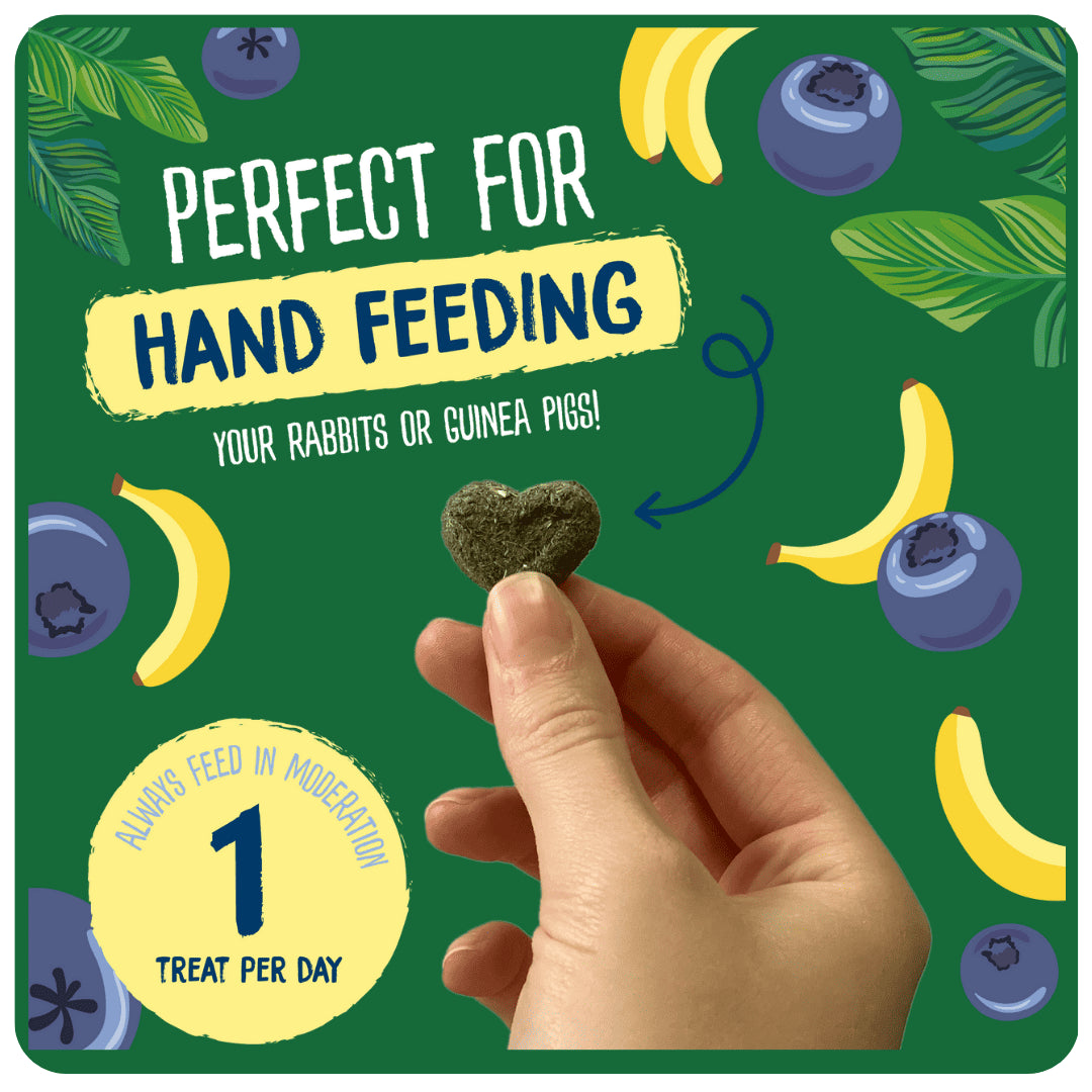 Burgess Excel Fruity Feasts